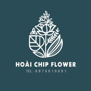 Hoaichipflower - Hotline: 0975.019.091